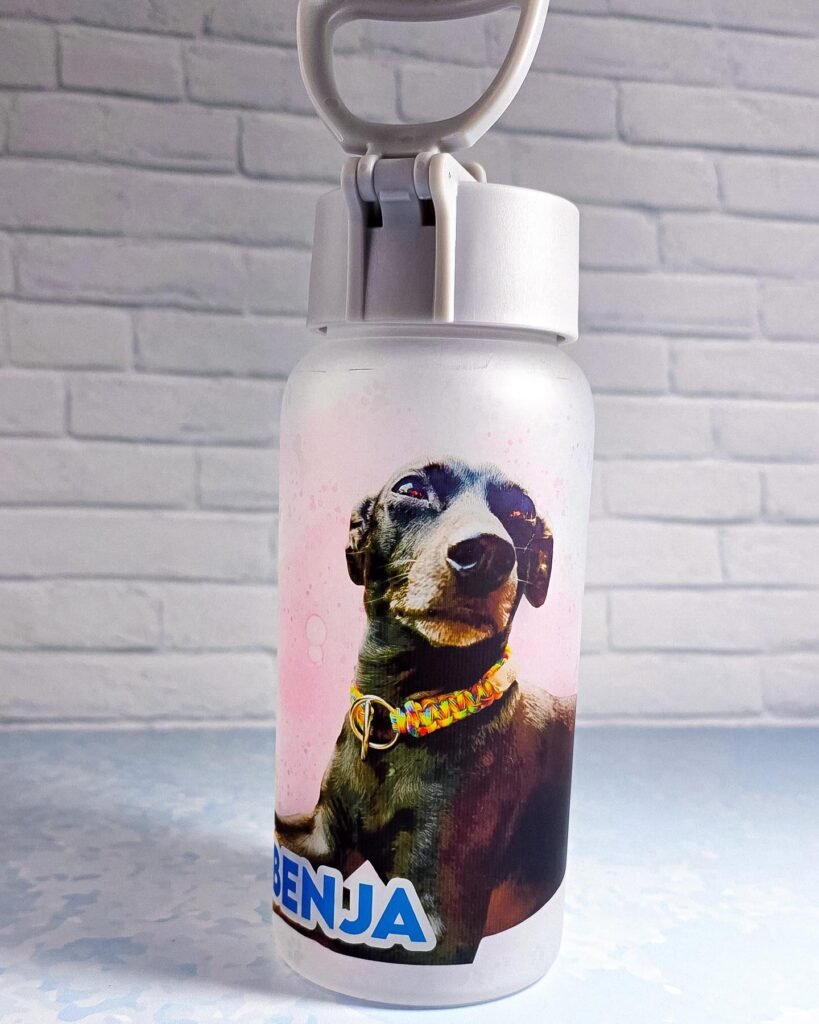 504188057_18112864822491894_7585792966751656325_n